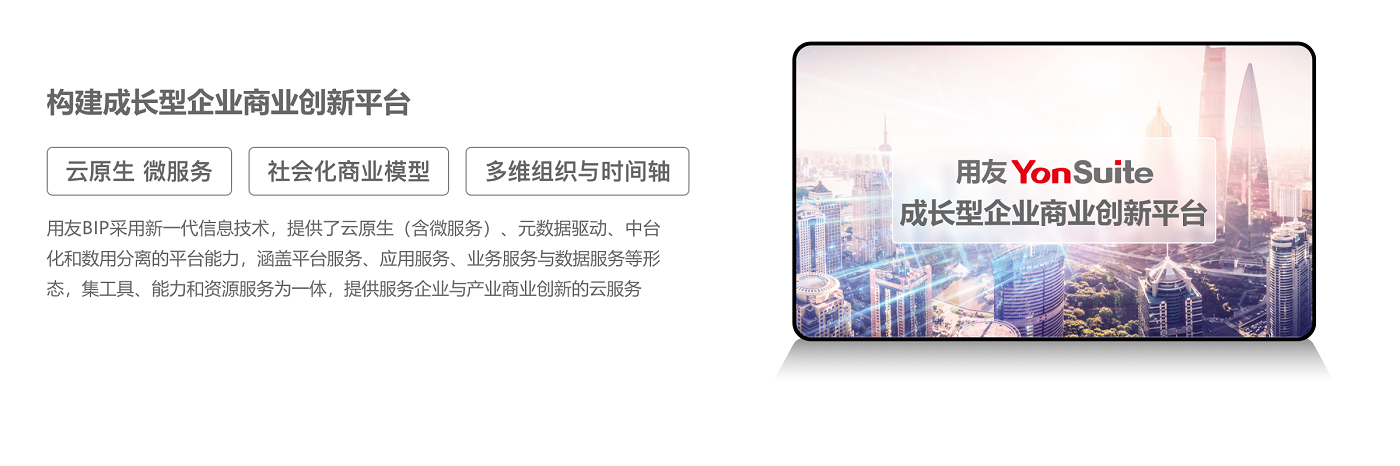 Yonsuite费控系统02